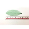 100 Pcs 4-5 Inch Skeleton Leaves Rubber Tree Natural Scrapbooking