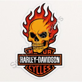 Harley Davidson Flaming Skull Weather Resistant Vinyl Die Cut Sticker Decal 18 - 2"