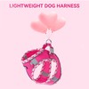 Petank Dog Harness for Small Medium Dogs No Pull, Puppy