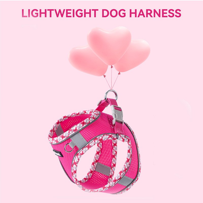 Petank Dog Harness for Small Medium Dogs No Pull, Puppy
