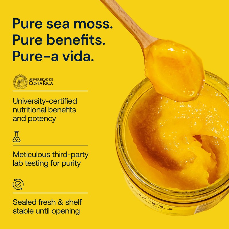 GO/TU Sea Moss Gel - Pineapple 16oz - Wildcrafted in