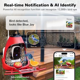 Bird Feeder Camera Wireless Outdoor, Dual Seed Chambers & Squirrel-Proof, 2K Ultra Video Live Stream Camera, Ideal Gift for Family and Birds Lover, Red