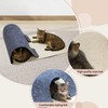 MEOWSAN Felt Cat Scratching Pad & Tunnel Sisal Mat Combo