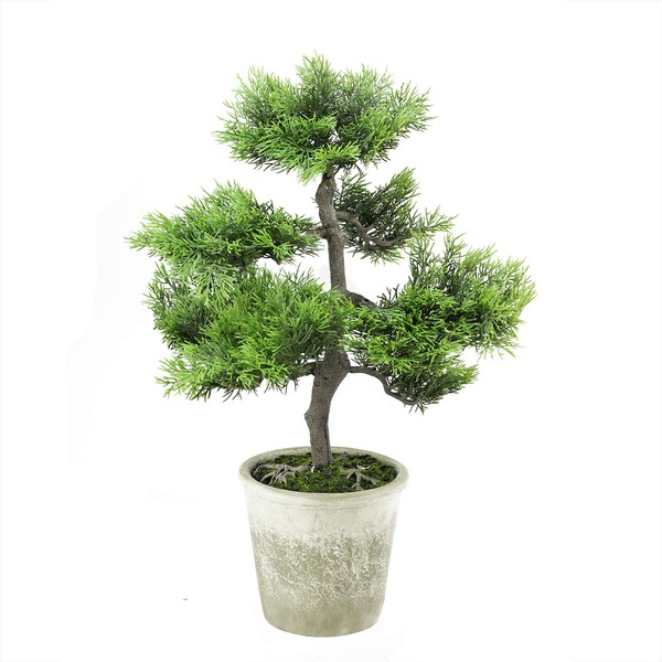 Northlight Decorative Artificial Japanese Bonsai Tree in Distressed Gray Pot,