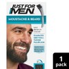 Just For Men Moustache & Beard Brush-In Colour Gel M-45