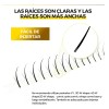 Masscaku Extensión De Pestañas Espigas A Shape Individuales