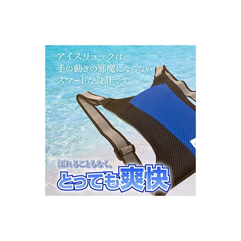 Denko Home Ice Ruck, Vertical Type, Includes 2 Ice Packs,