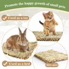 Sukh 4 PCS Rabbit Grass Mats - Natural Hay Woven