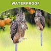 Vicsiyi Owls to Keep Birds Away, 4Pcs Fake Owls with