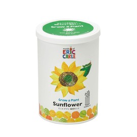 Seishin Ceramics HP-0204 Harapeko Aomushi Nakayoshi Cultivation Set, Mini Sunflower, Size: Approx. φ2.8 inches (7 cm), H4.1 inches (10.3 cm)