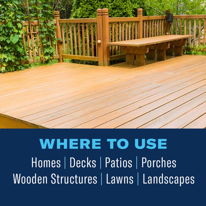 BioAdvanced Carpenter Ant & Termite Killer Plus, Concentrate, 40 oz,