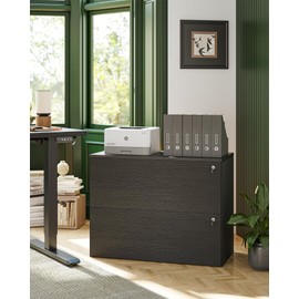 TIQLAB 2 Drawer Mobile File Cabinet, Filing Cabinet Home Office for Letter, Legal, A4 Size, Under Desk Lateral File Cabinet, Black