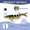 3Pcs Fishing Lures for Bass Trout, Lifelike Pike Fishing Tackle