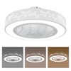 DDBESSIC Low Profile Ceiling Fans with Lights and Remote, Flush