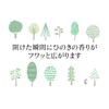 reliqua odore Tosa Hinoki Aroma Dish, Made in Japan, Shiba