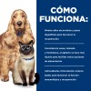 Hills A/d Perro/gato Recuperacion 24 Latas De 156g Original