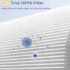 AP-T45 AP-T40FL HEPA Filter Compatible with 1461901 Homedics TotalClean 5-In-1