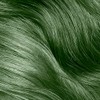 Ion Permanent Brights Crema Tinte para el cabello Wintergreen Wintergreen
