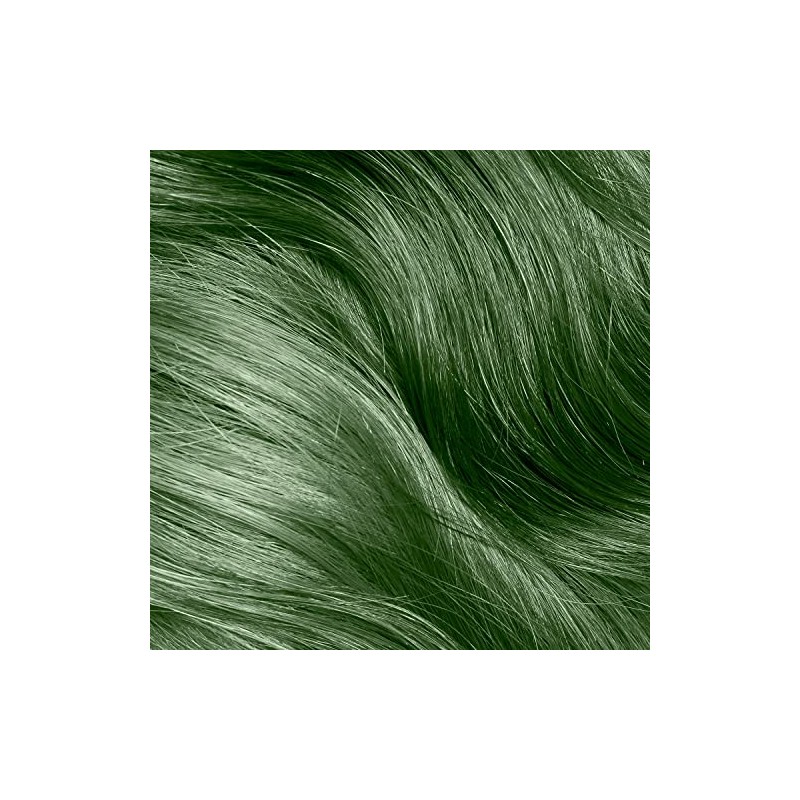 Ion Permanent Brights Crema Tinte para el cabello Wintergreen Wintergreen