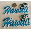 Unbranded (2)- “Hawaii” Embroidered Iron On Patches 5”x 2 1/2”