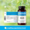 Selen hochdosiert – 100 mcg 300 Kapseln von BIOHERBA für