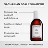 SACHAJUAN Scalp Shampoo | Anti-Dandruff Shampoo for Dry, Itchy Scalp