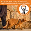 Cat Harness and Leash Set - Escape Proof Adjustable Cat