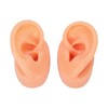 Silicone Ear Model Human Artificial Ear Display for Hearing Aids