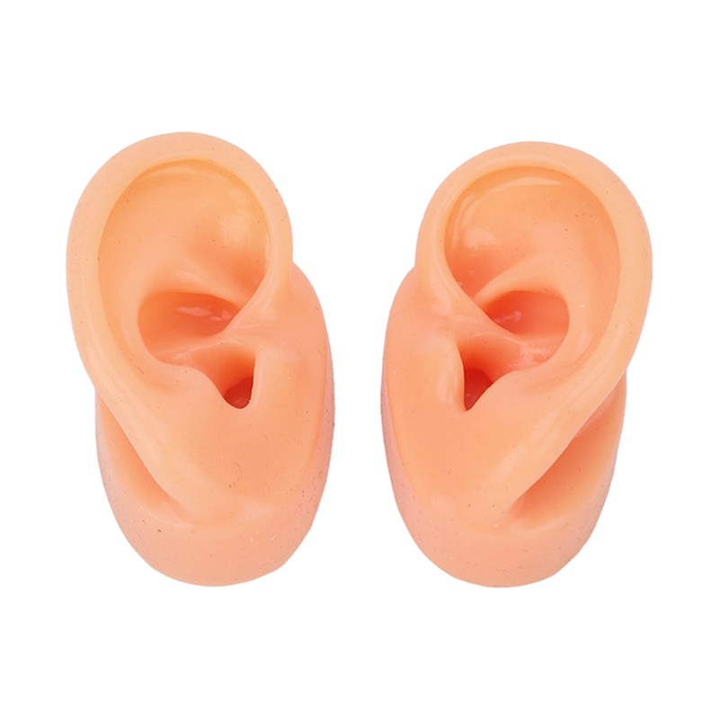 Silicone Ear Model Human Artificial Ear Display for Hearing Aids
