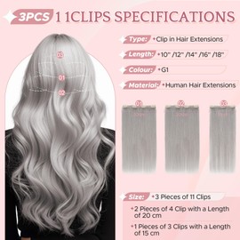 SEGO Clip in Hair Extensions Real Human Hair Seamless Hair Extensions Soft Silky Straight for Women Clip in 3PCS 11 Clips 10 Inch Grey 56g