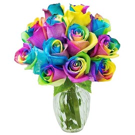 KaBloom Flowers - PREMIUM 12 Rainbow Roses with Vase. Gift for Birthday, Sympathy, Anniversary, Get Well, Thank You, Valentine, Mother’s Day Fresh Flowers