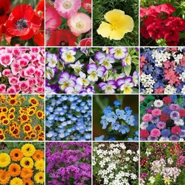 UtopiaSeeds Short Wildflower Seed Mix - Mixture of Petite Varieties - Annual and Perennial Mix