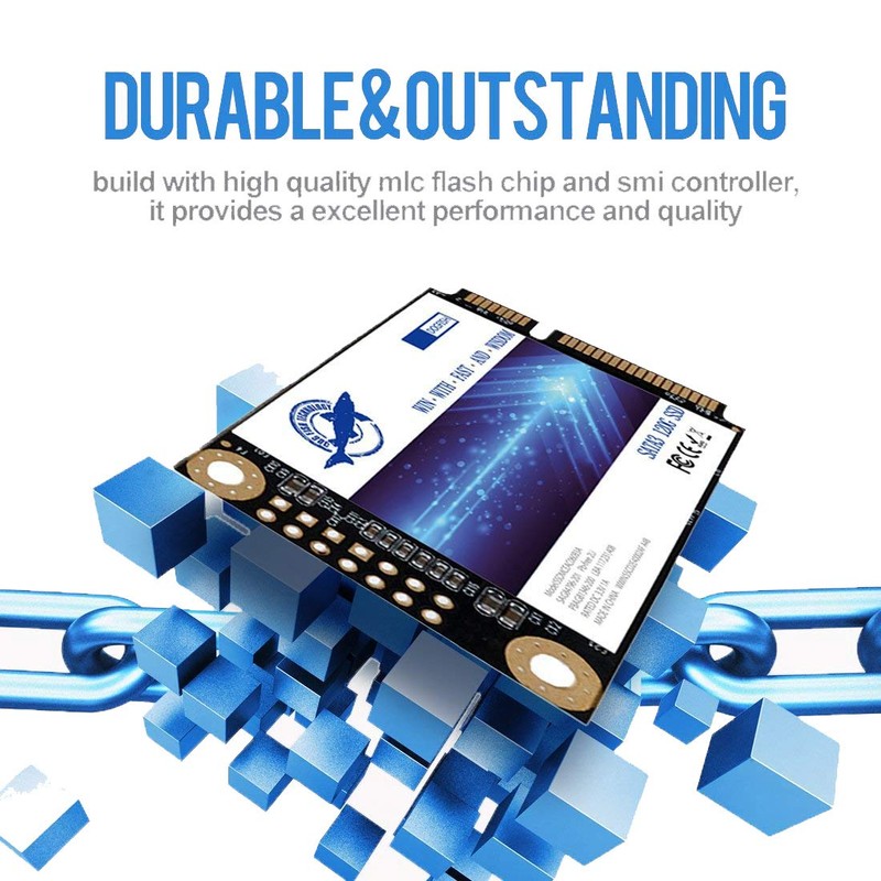 Dogfish Msata - Disco duro interno de estado sólido (32