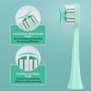 Compatible with AquaSonic Icon Electric Toothbrush Replacement Toothbrush Heads,for AquaSonic