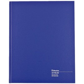 Blueline Columnar Book, Perfect Binding, 20 Columns with Description, 80 Pages, 12-1/4" x 9-7/8", Blue (A1740.20)