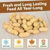 Trailmark Naturals - 8 LB - Raw Peanuts For Squirrels,