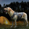 No Pull Dog Harness - Tactical Breathable Mesh Vest for
