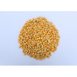 Single A Corn©️: Premium Dried and Shelled Whole Kernel Corn 21 lbs - Perfect Feed for Birds, Deer, and Other Wildlife- This Season's Corn!