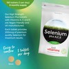 Selenium Supplement 200mcg Plus Vitamin A, C, E (x180 Tablets)