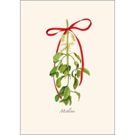 Earth Sky + Water - Mistletoe Notecard Set - 8 Blank Cards with Envelopes