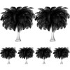 Tigeen 200 Pcs Ostrich Feathers Bulk, 12-14 Inch Large Natural