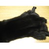 Blue Fox Dyed Black # 1 Quality