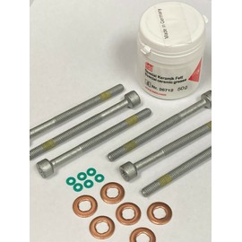 PARTSDEPOT Injector Seal Kit Compatible with Mercedes OM648 OM642 E320 Sprinter ML320 E320 GL350