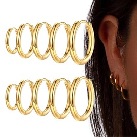 5 Pairs Gold Hoop Earrings Stainless Steel Gold Plated Small Hoop Earrings Hypoallergenic Titanium Earrings 8/10/12/14/16mm
