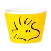Peanuts 615127 Woodstock, Multi-Cup, Buckwheat Boar Spatula, Small Bowl, 3.1