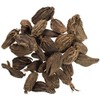 Ground & Whole Spices from Around The World Over 50