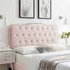 Modway MOD-6410-PNK Sophia Tufted Performance Velvet Full/Queen Headboard, Pink