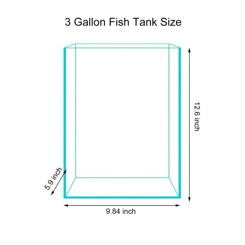 Vimvins 3 Gallon Glass Fish Tank, Easy to Maintain Small