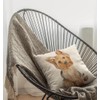 The Beach Stop Decorative Yorkshire Terrier Dog Scatter Cushion Cover