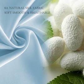 HandSun 100% Mulberry Silk Pillowcase for Hair and Skin with Gift Package Both Side 19 Momme Silk Pillowcase, 1pc (Standard(20"x26")-New, Flint Blue)